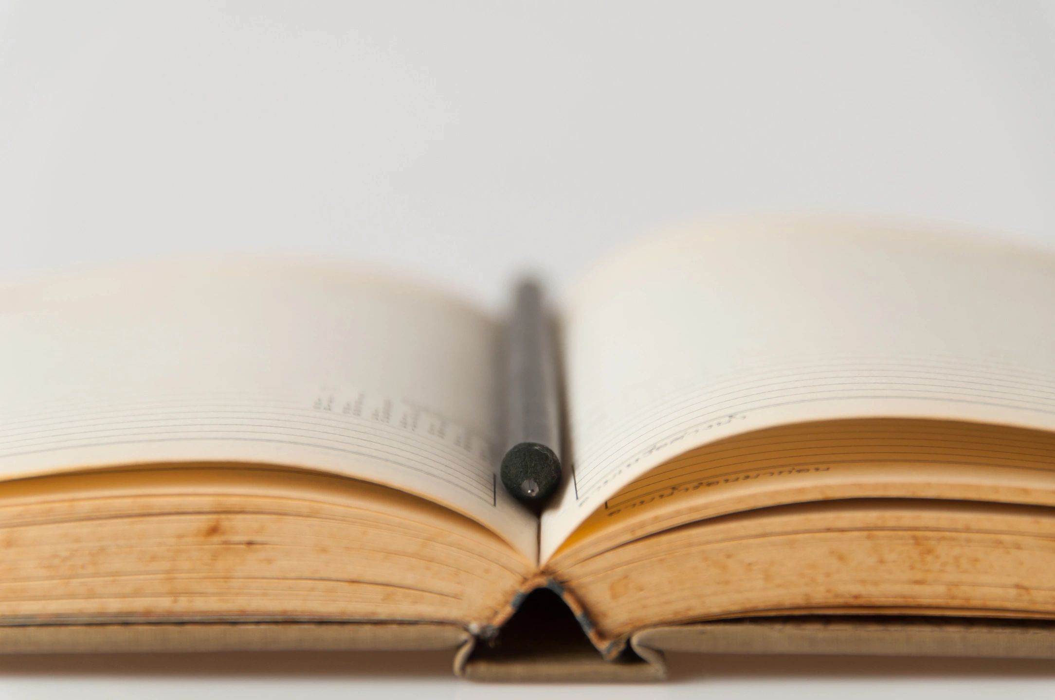 Open journal with pen resting on spine
