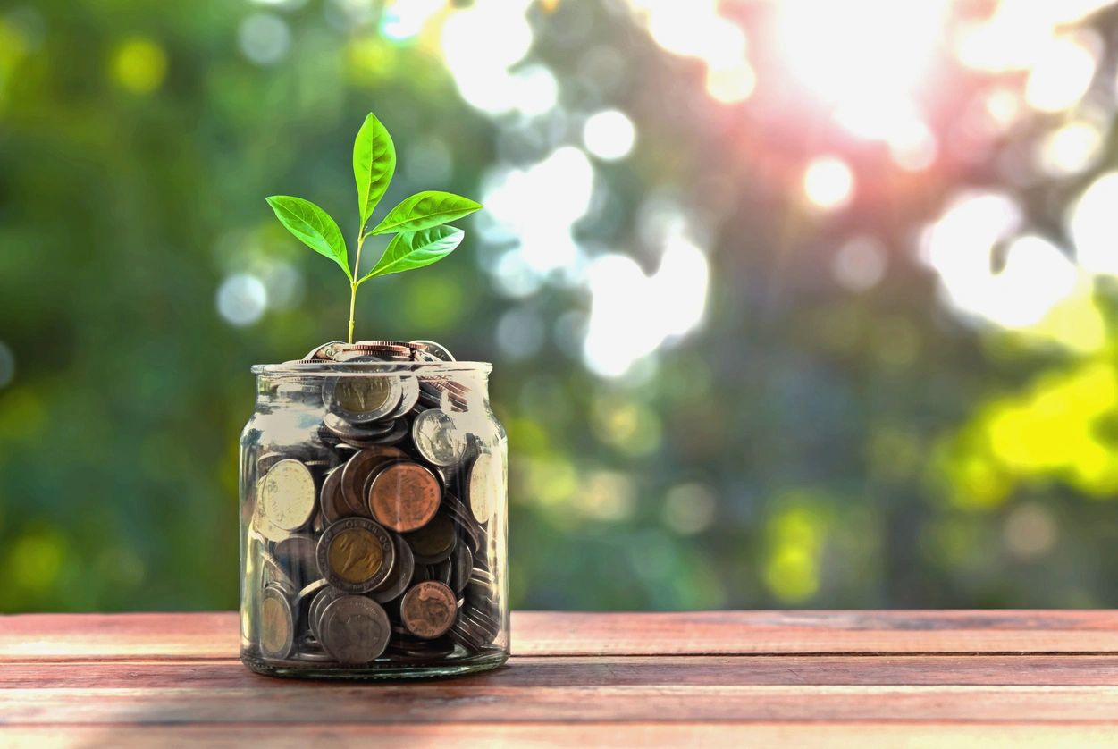 Glass jar of coins with sprouting seedling